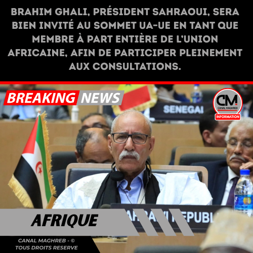 Dépêche CANAL Maghreb